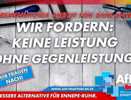 Keine Leistung ohne Gegenleistung: AfD im Kreistag lässt verpflichtende gemeinnützige Arbeit für Asylanten und Geduldete prüfen!