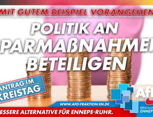 Haushalt 2025: AfD fordert wiederholt deutliche Kürzungen der Finanzmittel für Kreistagsfraktionen